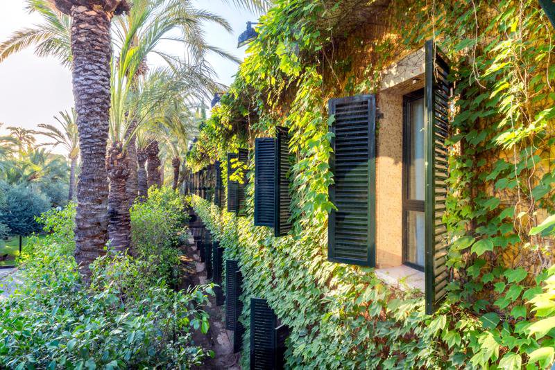Elche, Alicante